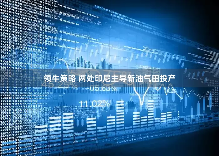 领牛策略 两处印尼主导新油气田投产