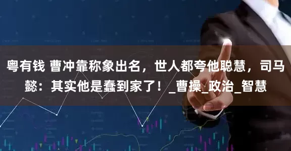 粤有钱 曹冲靠称象出名，世人都夸他聪慧，司马懿：其实他是蠢到家了！_曹操_政治_智慧