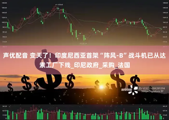 声优配音 变天了！印度尼西亚首架“阵风-B”战斗机已从达索工厂下线_印尼政府_采购_法国