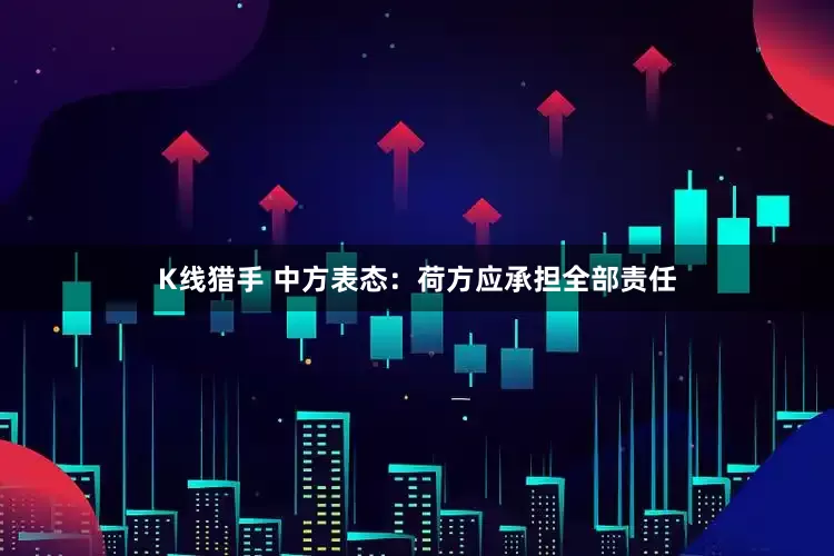 K线猎手 中方表态：荷方应承担全部责任